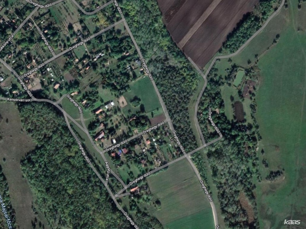 szántóföld