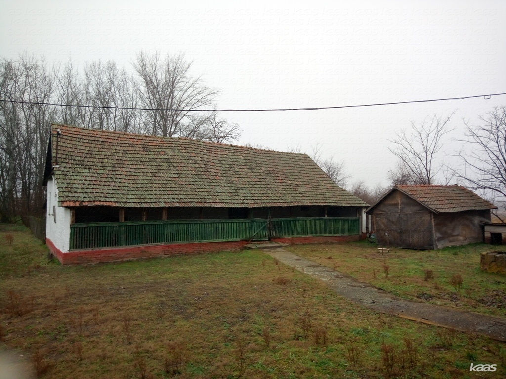 Tanya - 3