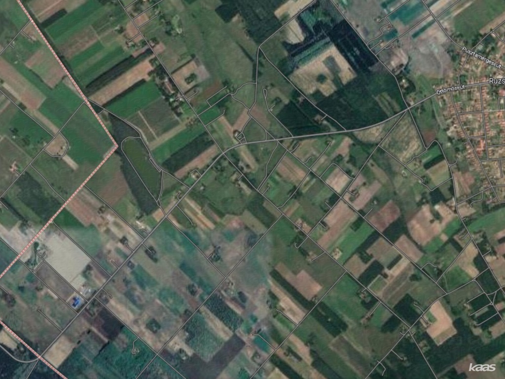 Horgásztó, erdővel
