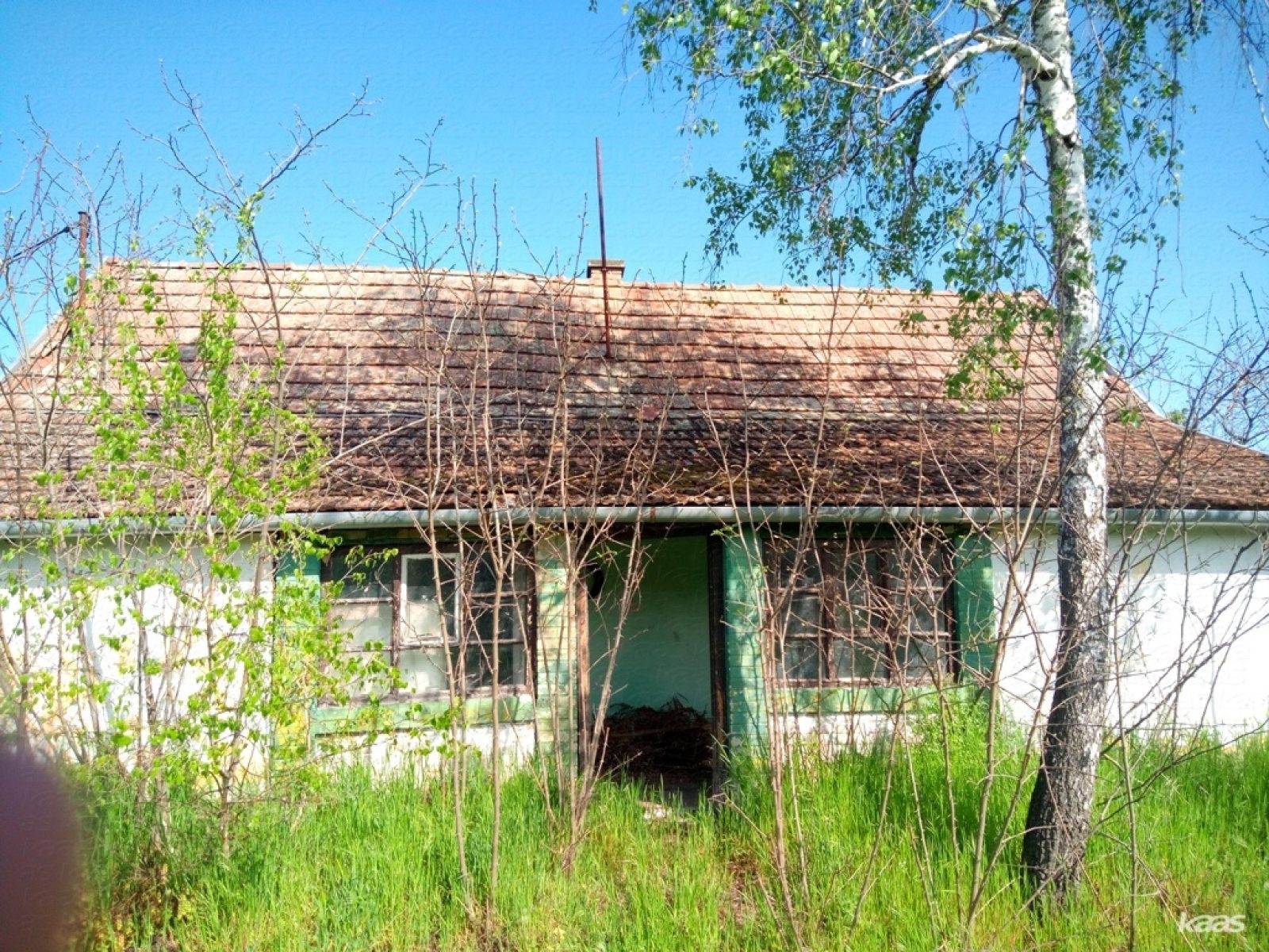 Tanya - 2