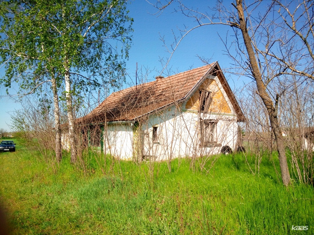Tanya - 3