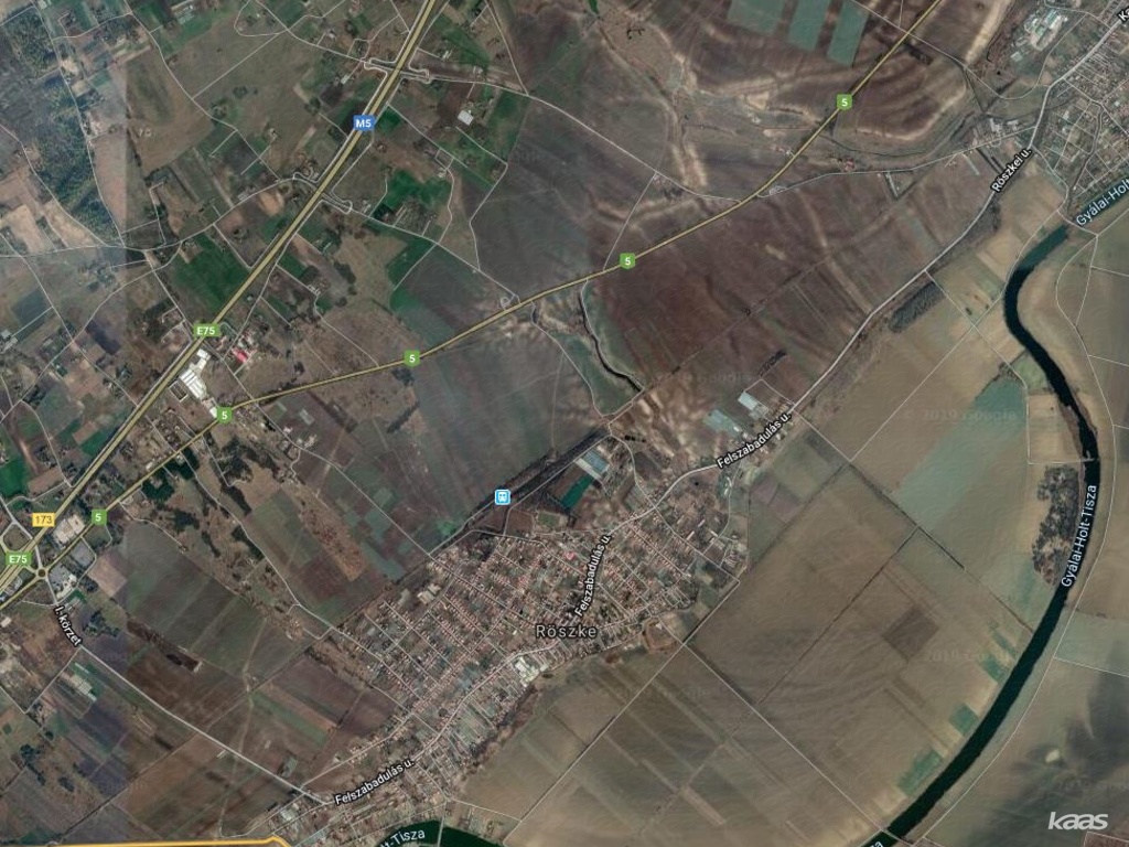 szántó