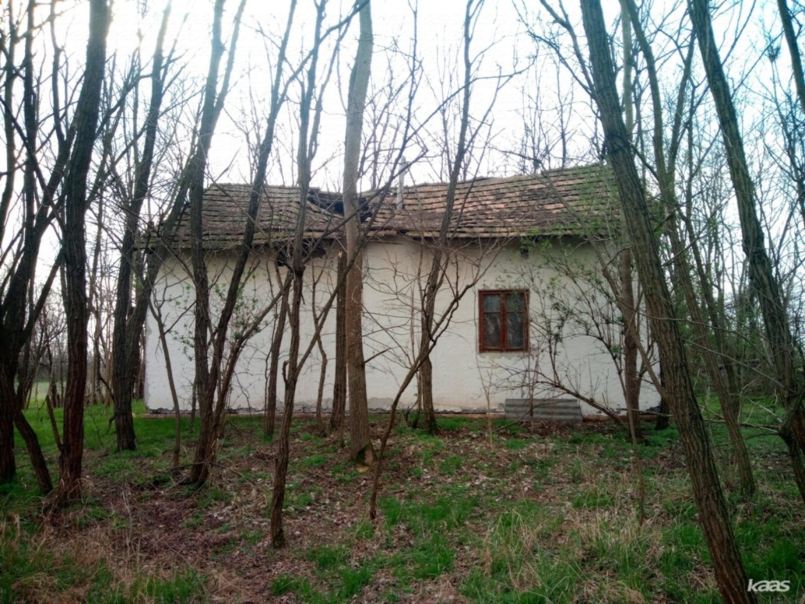 Tanya - 3