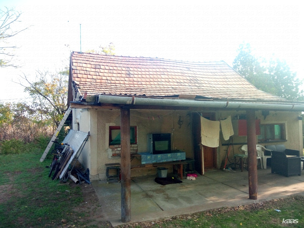 Tanya - 2