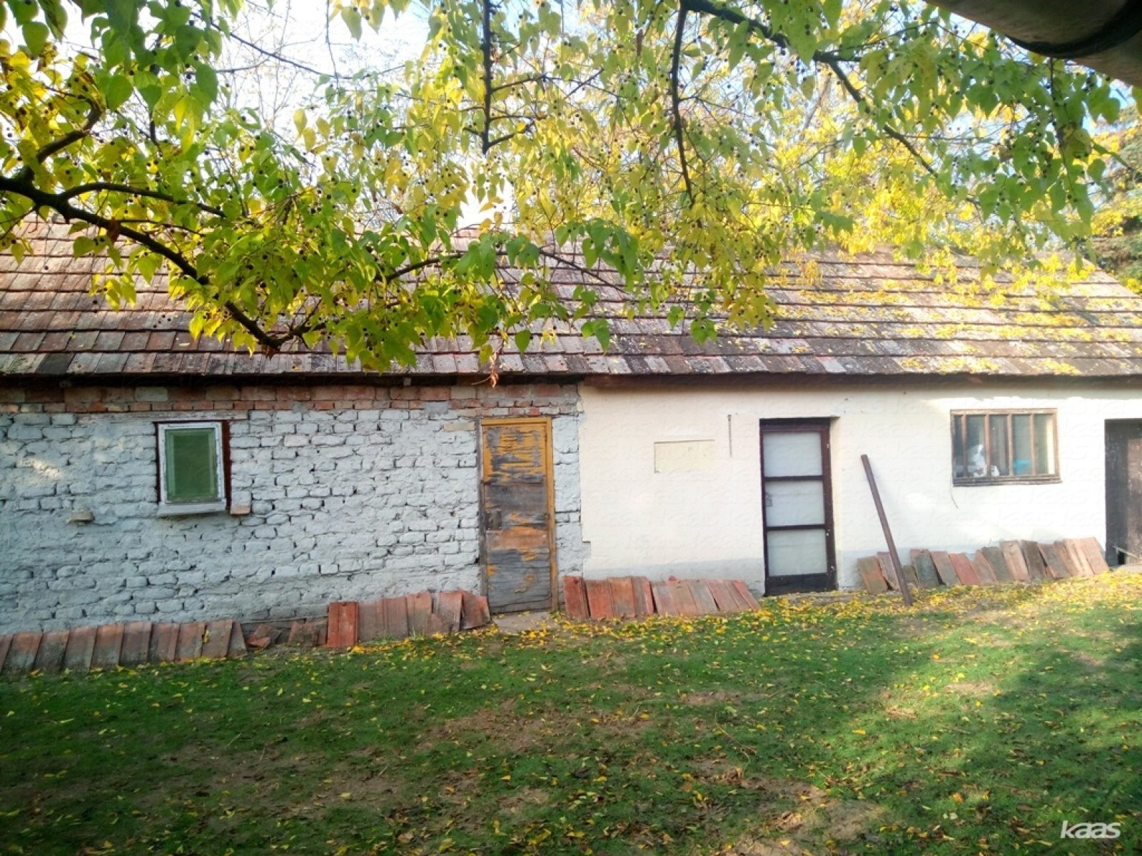 Tanya - 3