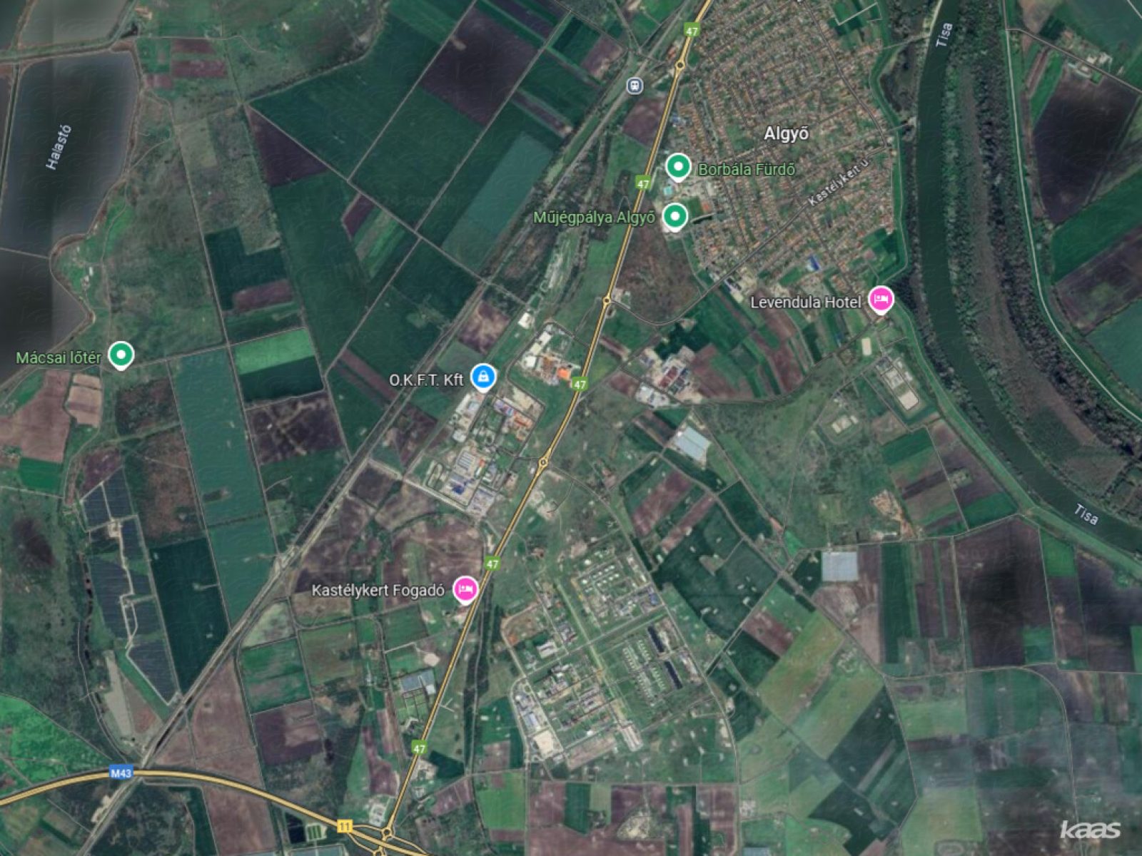 legelő