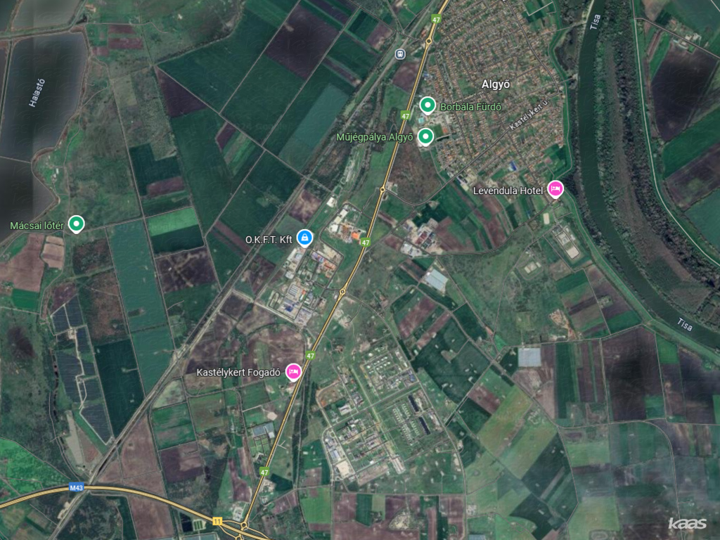legelő