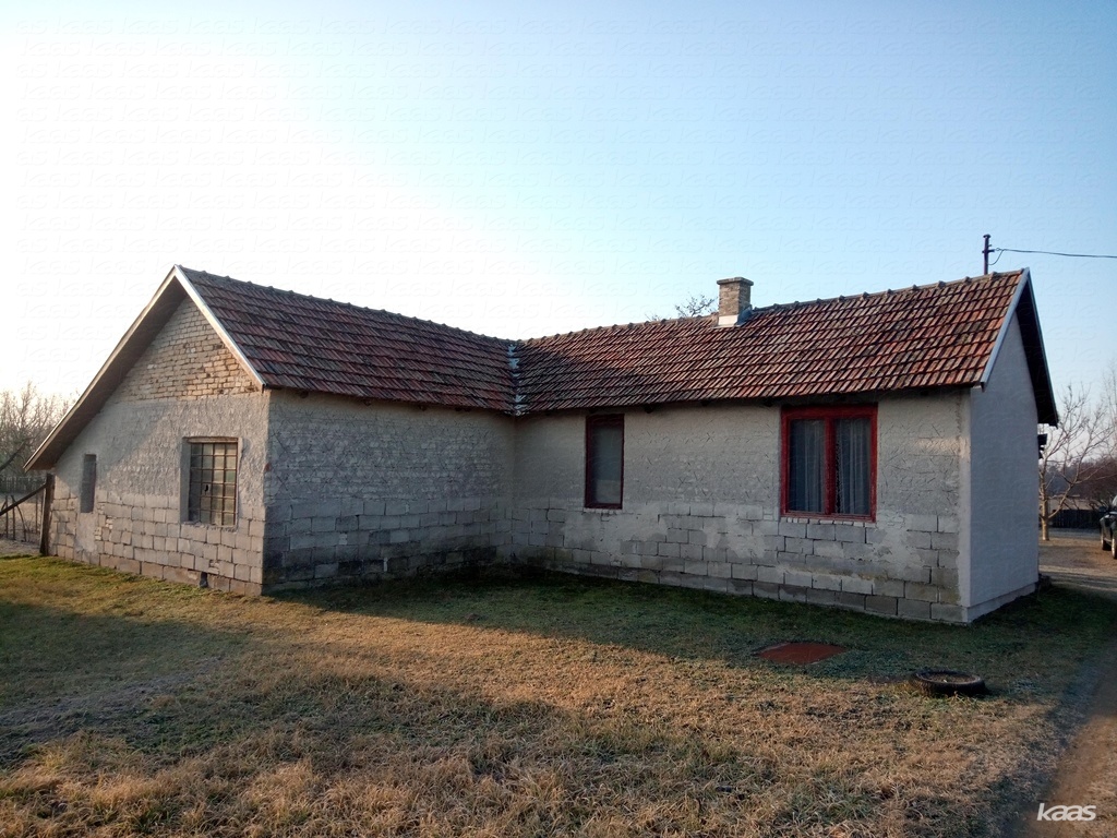Tanya - 2