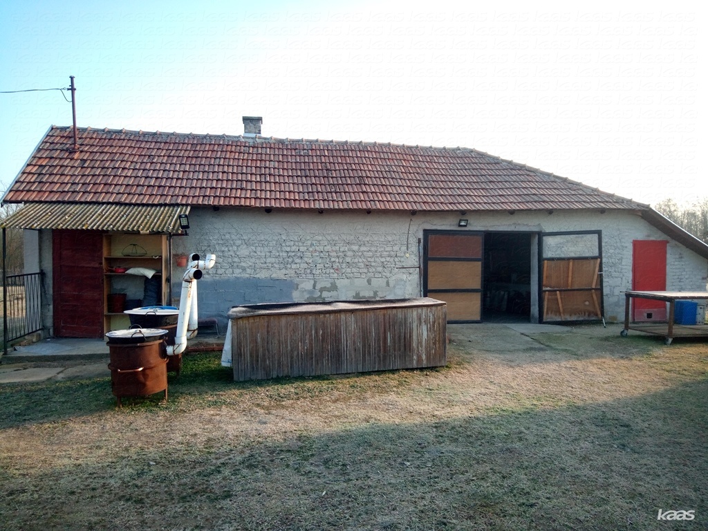 Tanya - 4