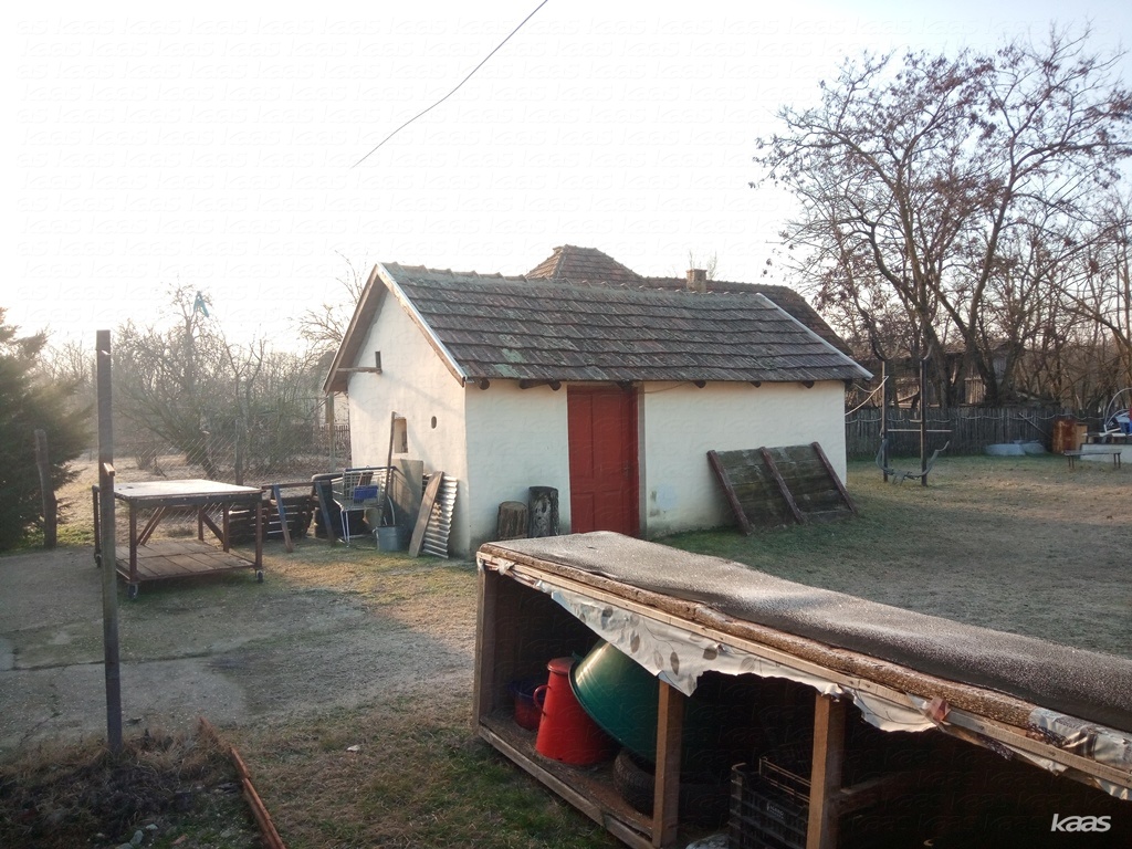 Tanya - 5