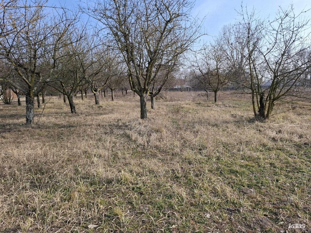 Szántó — Szatymaz (Külterület)