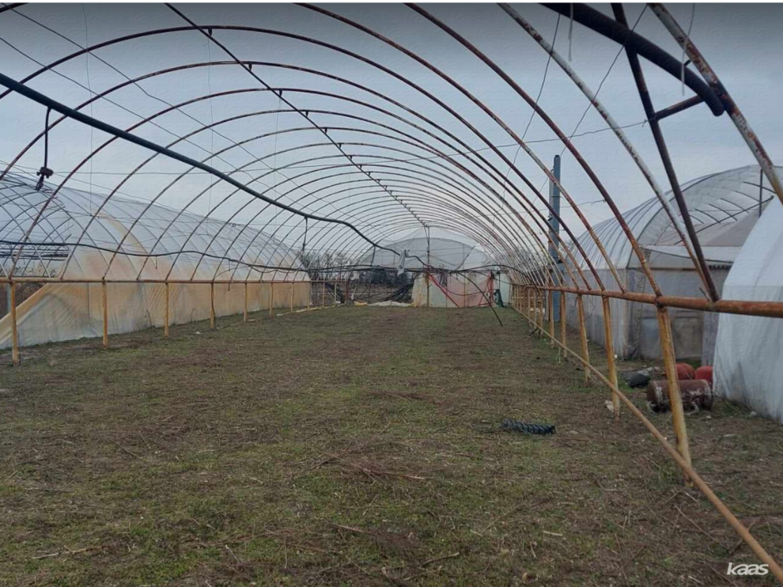 3920 m2 -es kertészet Zsombón - 2