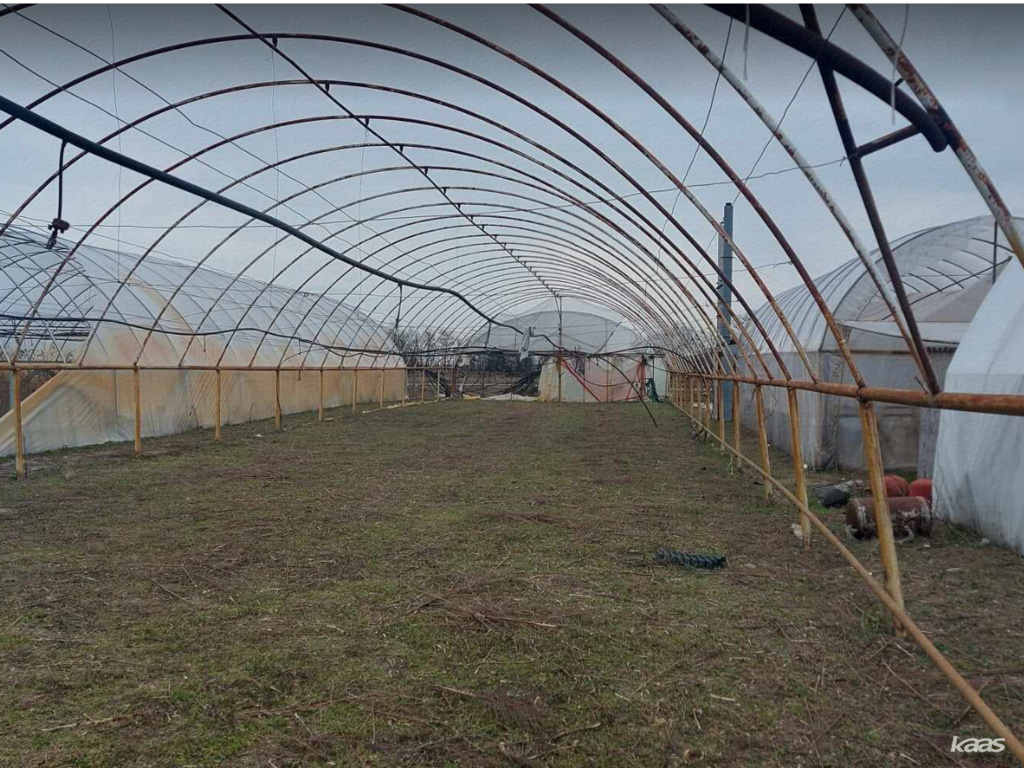 3920 m2 -es kertészet Zsombón - 2