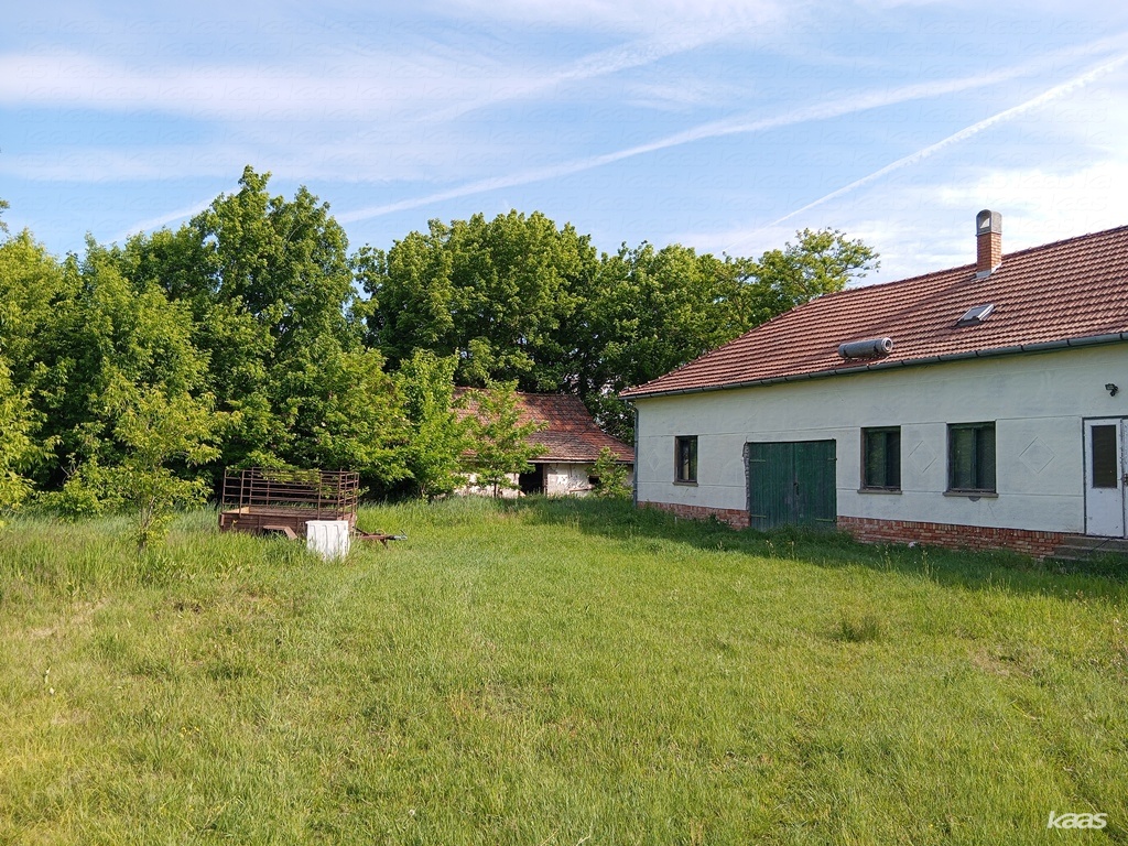 Tanya - 2