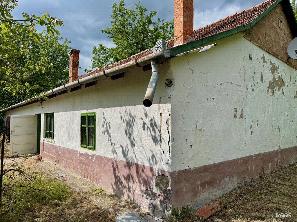 Tanya — Balástya (Gajgonya)