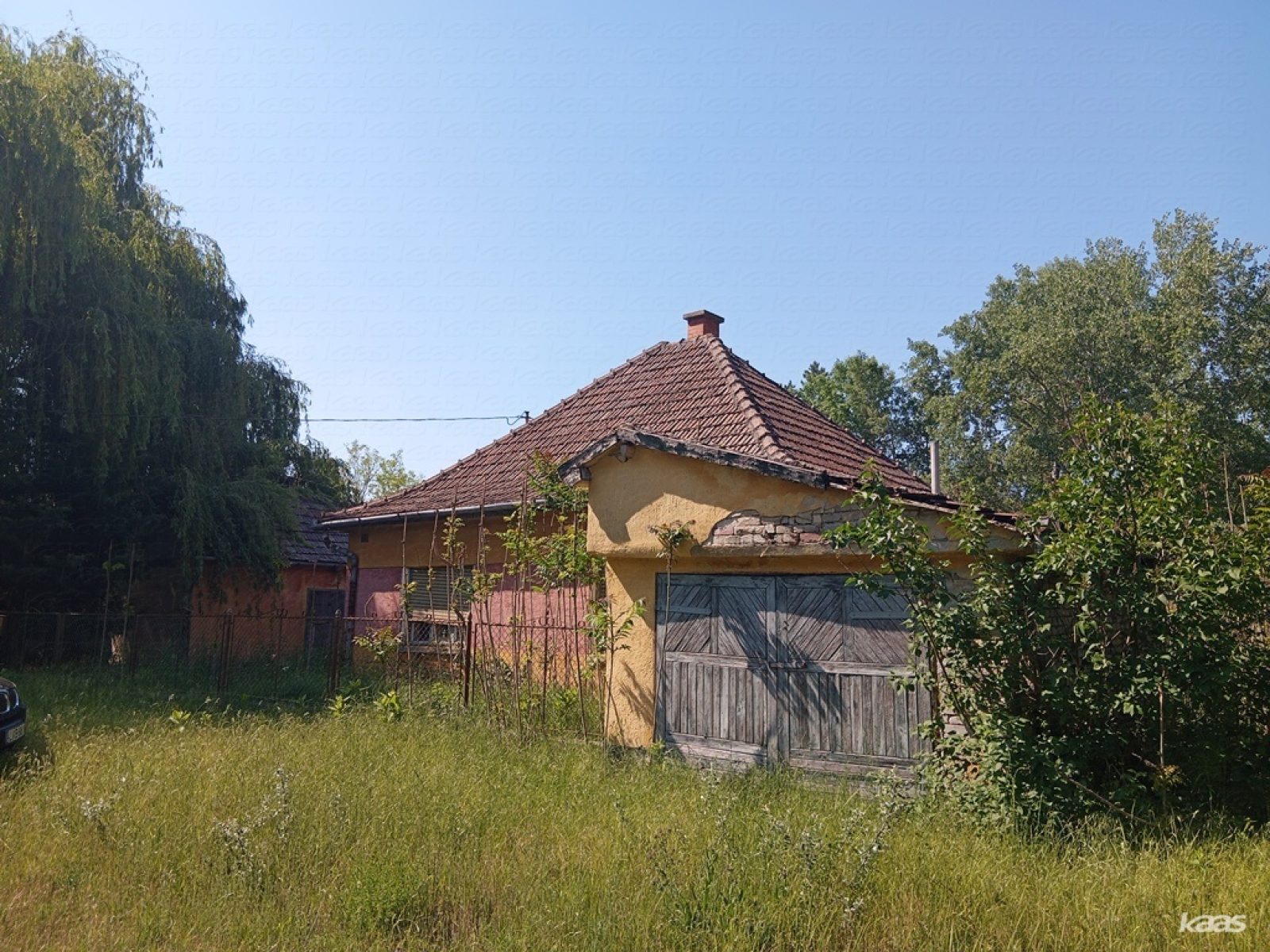 Tanya - 2