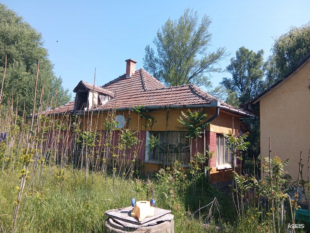 Tanya - 3