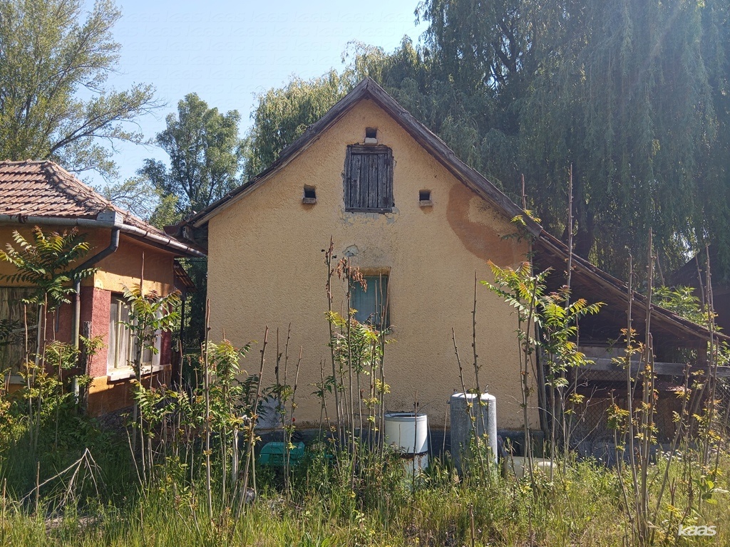 Tanya - 4