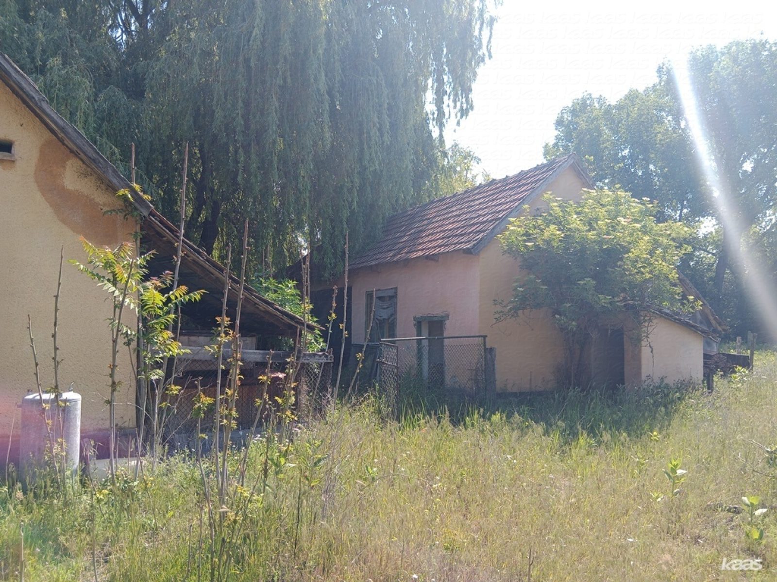 Tanya - 5