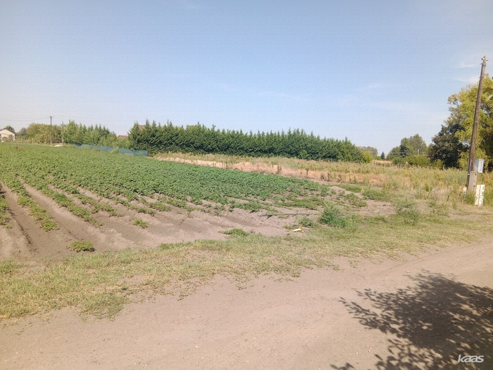 Zártkert