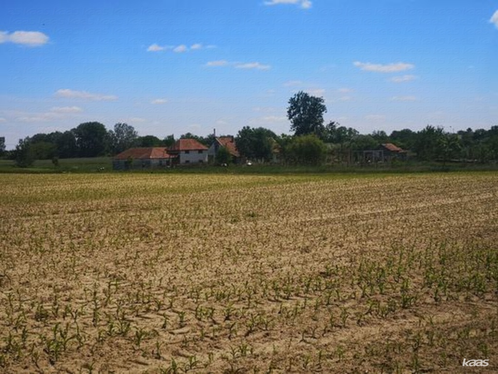Ingatlancsoport a Maty-érnél - 4