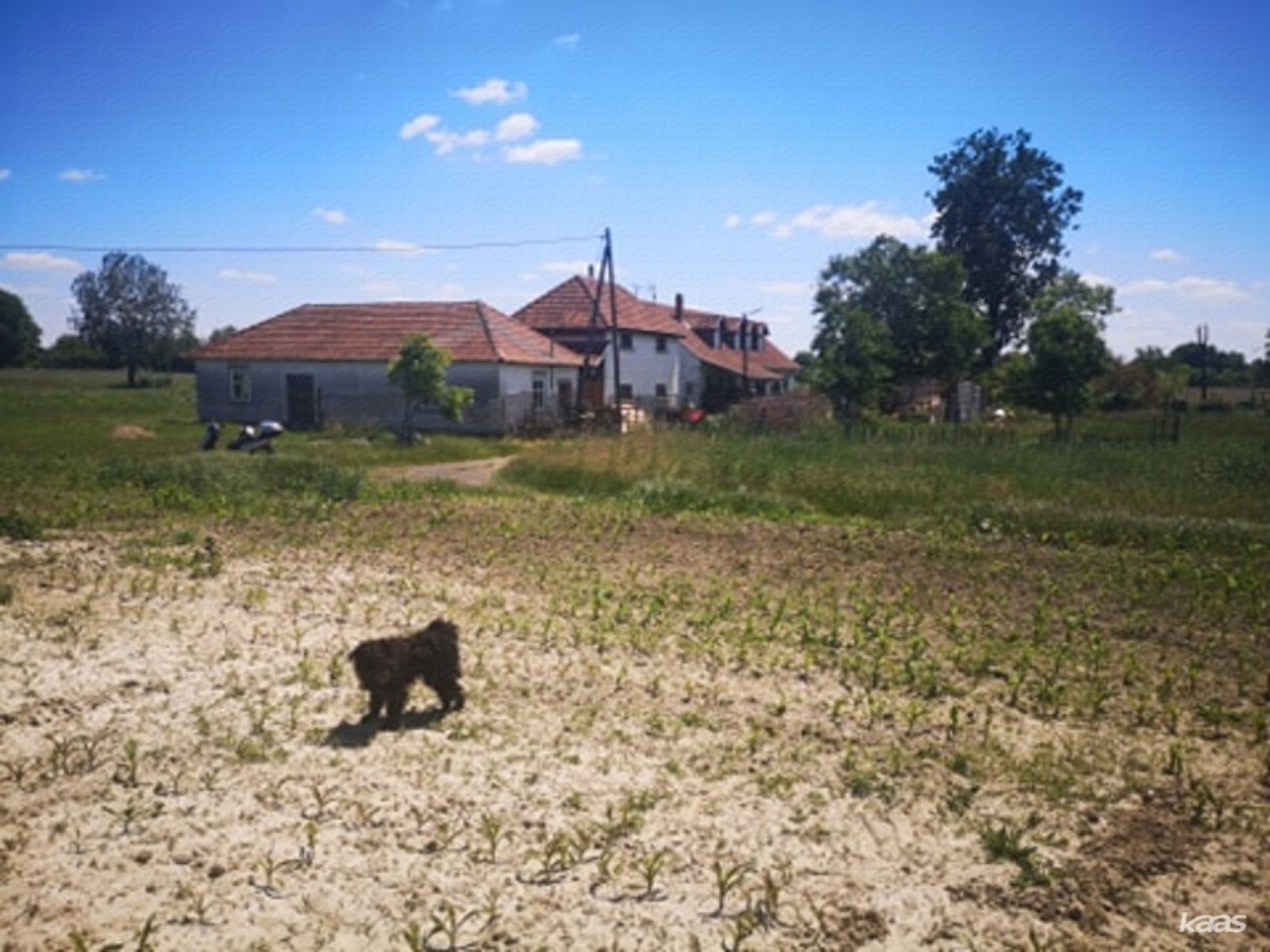 Ingatlancsoport a Maty-érnél - 6